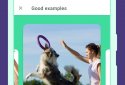 Dogo — Puppy and Dog Training screenshot 5
