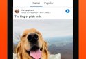 Reddit screenshot 9