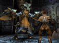 Vagrant screenshot 3