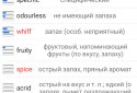 A Lesson in Words screenshot 3