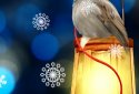 New Year Live Wallpaper screenshot 3