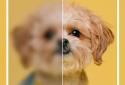Citrus AI - HD Photo Enhancer screenshot 3