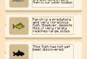 Pixel Fishing screenshot 3