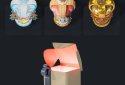 Chess Minis: Play & Learn, 3D screenshot 3