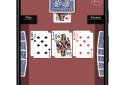Durak screenshot 4