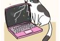 Cat Crime: Naughty Busted! screenshot 4