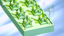 Rollusion screenshot 3