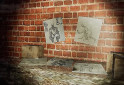 Nosey screenshot 3