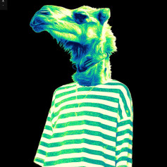 Litvach