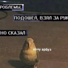 Какойта Чел