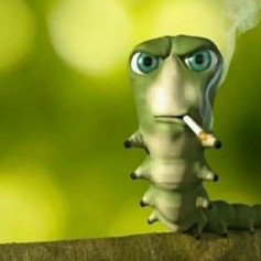 Саня Мусоровоз