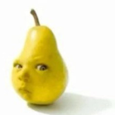 Djamilexa