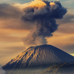 Банана у большинства людей