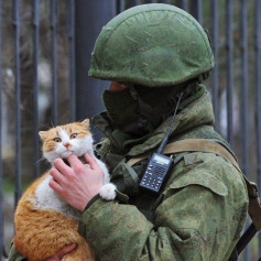 Никита и кот