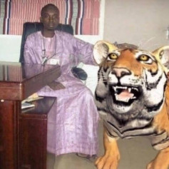 Незнакомец 21