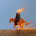 Burning Potato